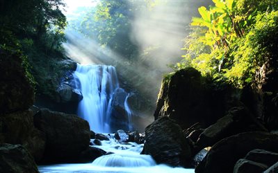 stenar, vackert vattenfall, tät skog
