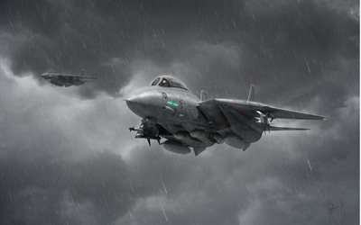 f-14, tomcat, jet fighter