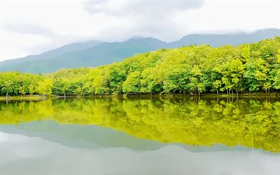 la nature du japon, parc national de shiretoko, le japon, le parc national de