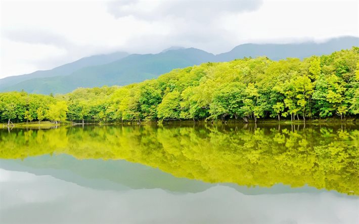 に日本の自然, 知床国立公園, 日本, 国立公園