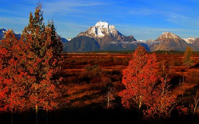grand teton, autumn, mountains, wyoming, usa