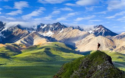 etats-unis, le voyage, la photo de la réserve et de la réserve de denali, alaska