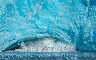 montagne de glace, la banquise, les oiseaux, énorme iceberg en antarctique