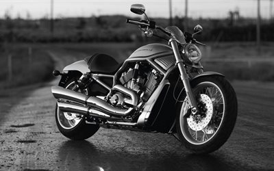 fresco de motocicletas, Harley Davidson, Harley-Davidson