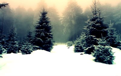 albero, foresta, inverno, disegnato inverno, alinci