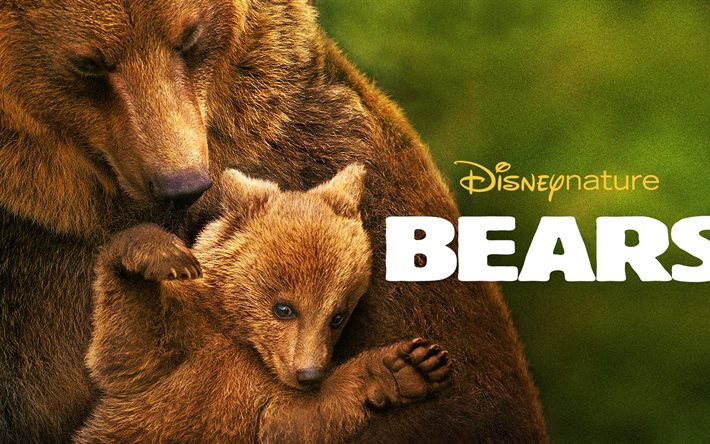 scientific film, bears, dissapered