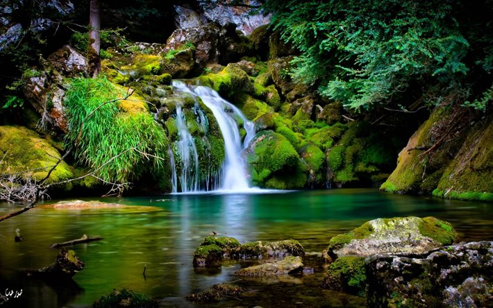 cascadas, el lago, bosque denso, hermosa privada, hermosa cascada, wodospady