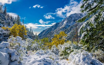 la neve, il sole cocente, montagne, inverno, paesaggio invernale