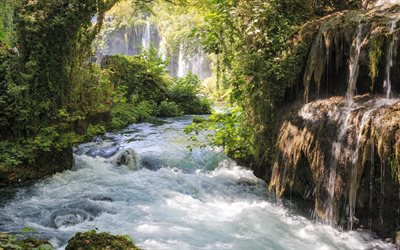 river, waterfalls, streams of water, jungle