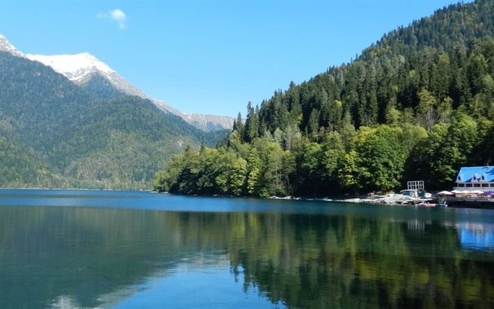 abkhazia, foresta, montagne, lago di ritsa