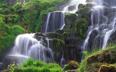 moss, photos of waterfalls, moisture, waterfall, freshness
