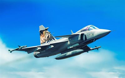 fighter, dassault rafale, french fighter jets