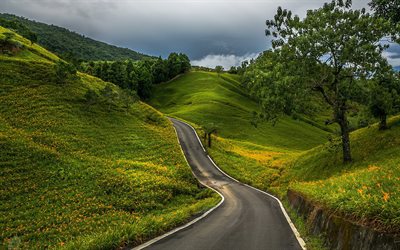 taiwán, el asfalto de la carretera, la hermosa naturaleza, las laderas de los cerros, colinas verdes, china