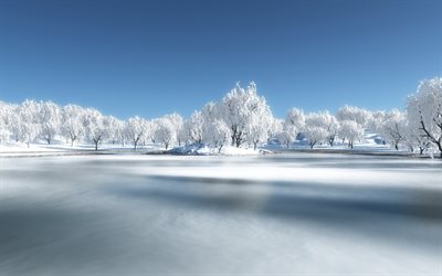 frusen sjö, is, vit snö, zamerzla sjö, vinter