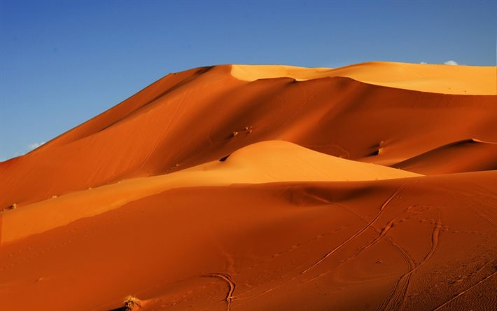 la arena, las dunas, el desierto, un montón de arena