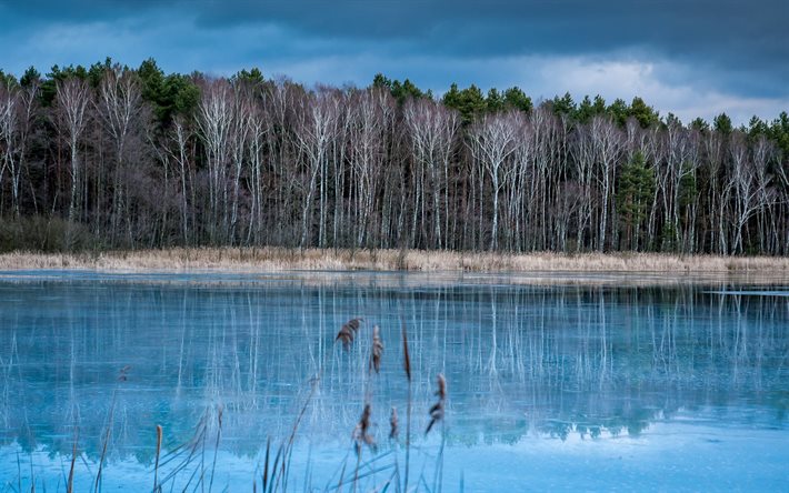 lago congelado, árvores nuas, inverno