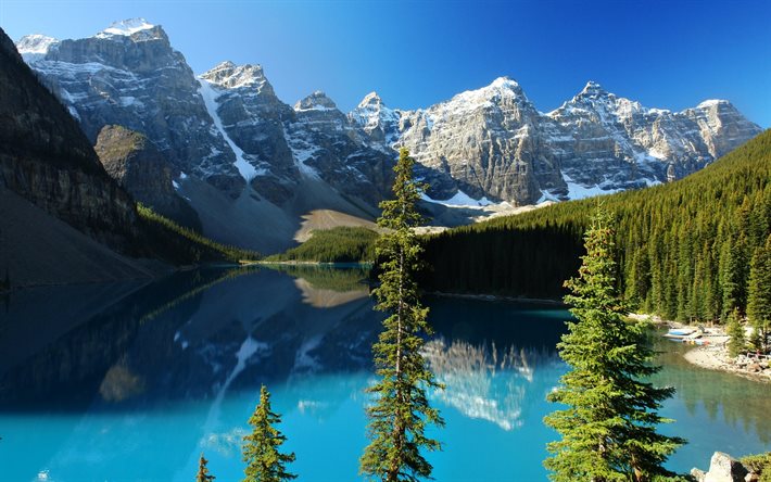 floresta, lago de montanha, lago azul, céu azul