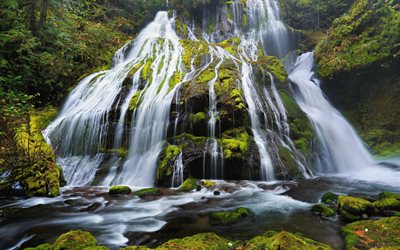 oregon, beautiful waterfall, waterfall, rock, panther creek falls