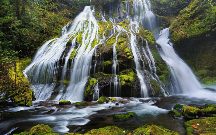 oregon, bela cachoeira, cachoeira, rocha, panther creek falls