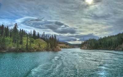 نهر, الغابات, كندا, نهر يوكون, يوكون نهر