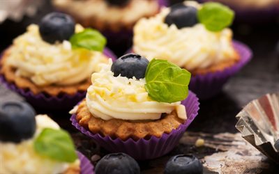 cream, cupcake, photo, blueberries