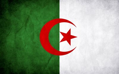 l'algérie, le drapeau de l'algérie, de la texture du mur