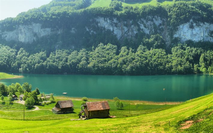 suiza, el lago, la montaña, los pastos