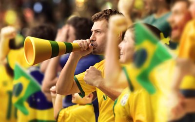 fans, världscupen, brasilien 2014, fotboll