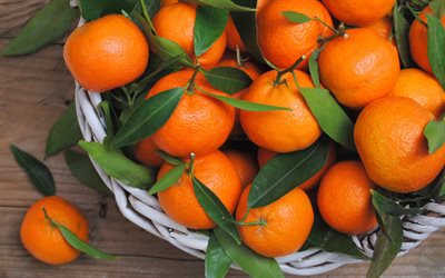 foto, mandarini, frutta