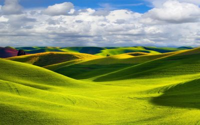 the cultivation of the crop, blue sky, green hills, photo