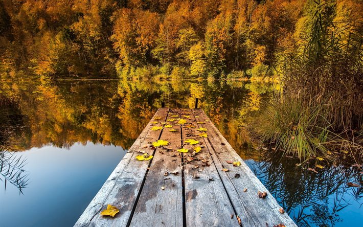 el lago, el bosque de otoño, el otoño, el reflejo del cielo