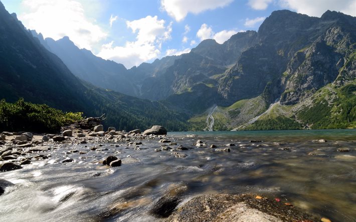 montagne tatra, fiume di montagna, in polonia, in acqua bollente