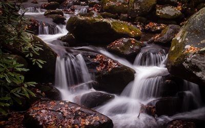 otoño, cascada, bosque, agua, corriente de