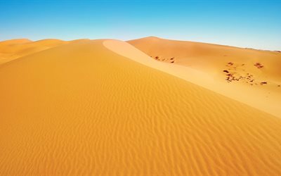 la arena, las dunas, el desierto, el calor