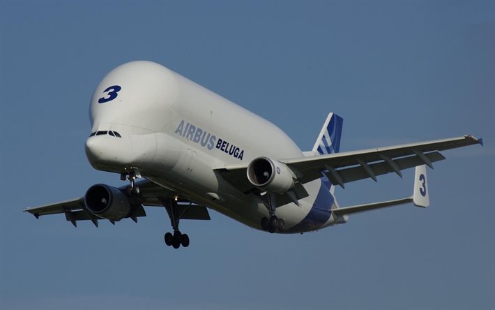 एयरबस बेलुगा, परिवहन विमान