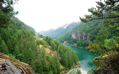 foto, foreste di conifere, blu, lago di montagna, bellissimo lago