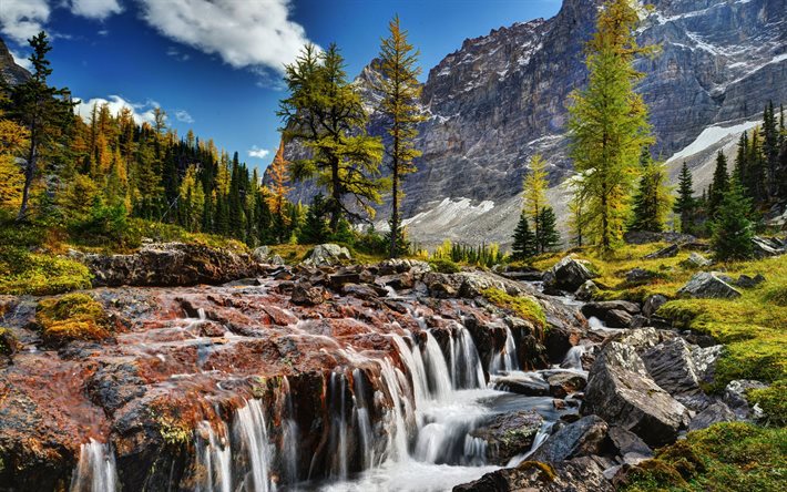 canadá, piedras, rocas, montañas, río, cascada, árboles