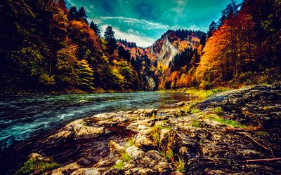 fiume di montagna, autunno, alberi gialli, paesaggio autunnale, paesaggio montano, foresta, fiume, sera, tramonto