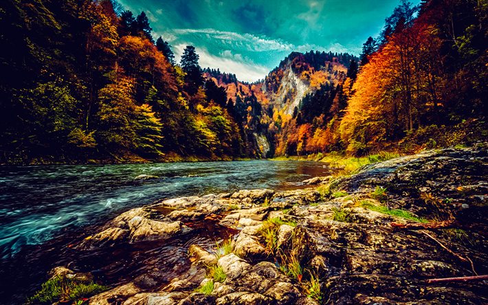 rivière de montagne, l'automne, arbres jaunes, paysage d'automne, paysage de montagne, forêt, fleuve, soirée, le coucher du soleil