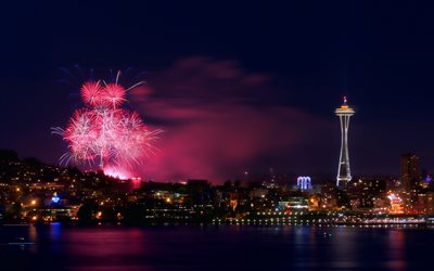 Seattle, Washington, USA, Notte, lo Space Needle, la torre, fuochi d'artificio