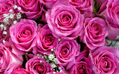 バラ, ピンク色のバラ, 芽, ブーケのバラの花, カスミ草の種子