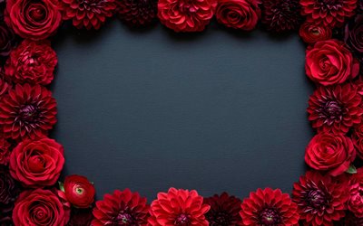 4k, rote rosenrahmen, graue hintergründe, frühlingsblumen, schöne blumen, blumenrahmen, rote rosen, rosen, hintergrund mit rosen