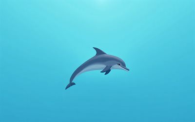delfín, 4k, mínimo, submarino, fondos azules, delfín de dibujos animados, mundo submarino, minimalismo del delfín, delfines