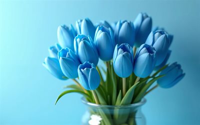 4k, bouquet of blue tulips, blue background, blue tulips, 3d flowers, 3d tulips, tulips bouquet, blue flowers, tulips, background with blue tulips, 3d blue tulips