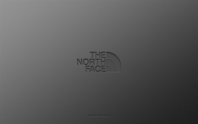 The North Face logo, brands, black background, The North Face emblem, carbon art, The North Face, popular clothing manufacturers, carbon logo, The North Face carbon logo