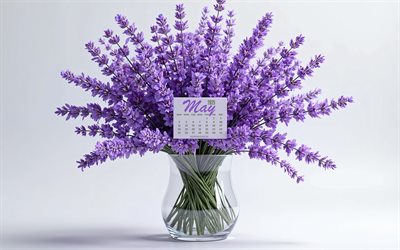 2025 may calendar, bouquet di lavanda, calendario 2025, maggio, fiori di lavanda 3d, calendario del maggio 2025, calendari della primavera 2025, lavanda, sfondo con lavanda