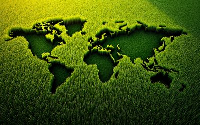 carte du monde enfoncée dans l'herbe, 4k, champ avec de l'herbe verte, concepts de carte du monde, herbe verte, concepts écologiques, carte du monde