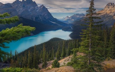 モレーン湖, 空撮, 夕方, 日没, 氷河湖, バンフ国立公園, 山の湖, 高山の湖, アルバータ州, カナダ