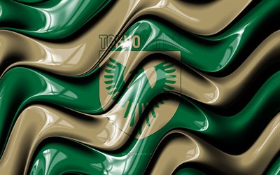 tokyo verd 3d logotyp, 4k, grön brun 3d vågor, j1 ligan, fotboll, tokyo verd flagga, kreativ, tokyo verd logotyp, tokyo verd fc, japansk fotbollsklubb, tokyo verd