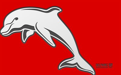delfin logo, 4k, roter hintergrund, carbon kunst, nrl, delfin emblem, australisches rugby team, australien, delfine, rugby